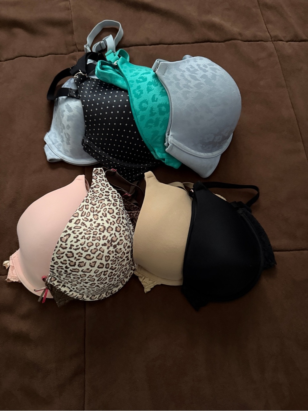 Eight Maidenform T-Shirt Bras, Multi-Color 36C, models 07539 and 07909.